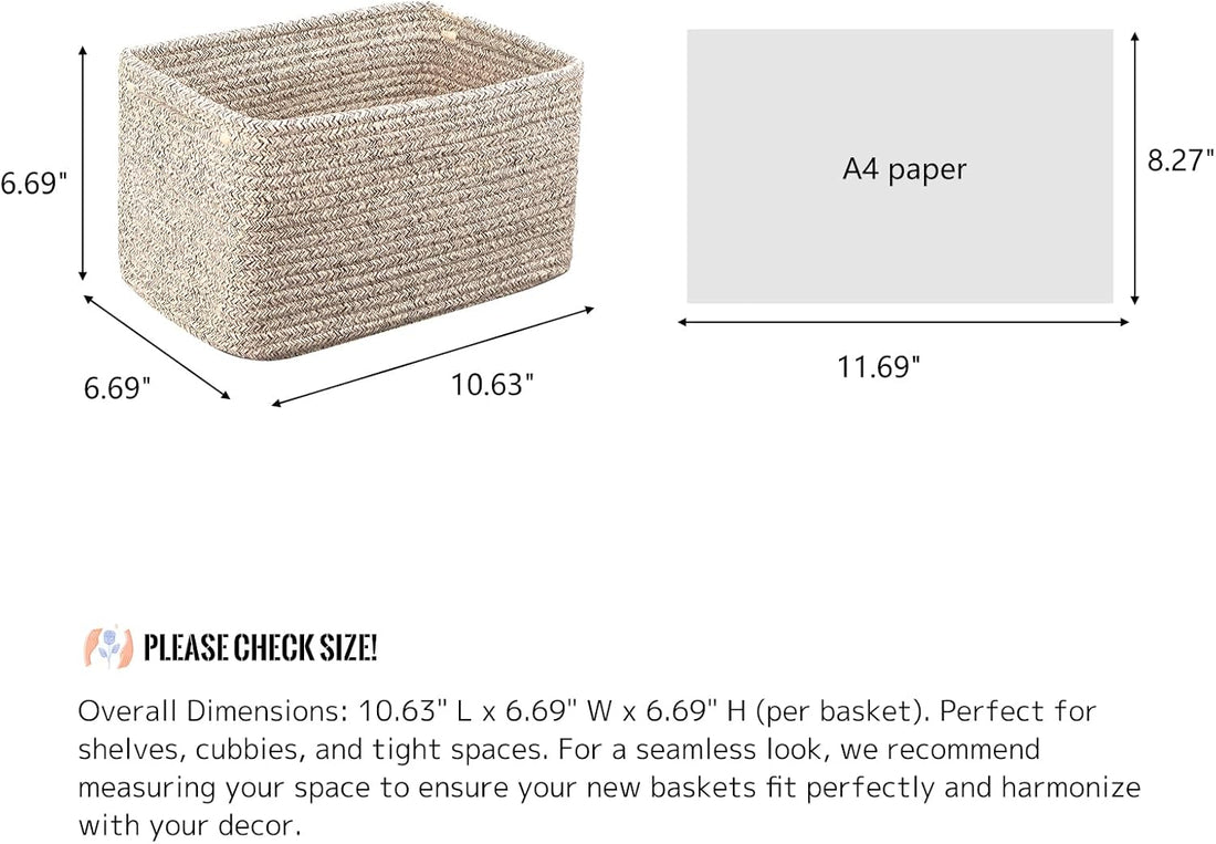 5 Easy Plants for Beginners to Grow and Love