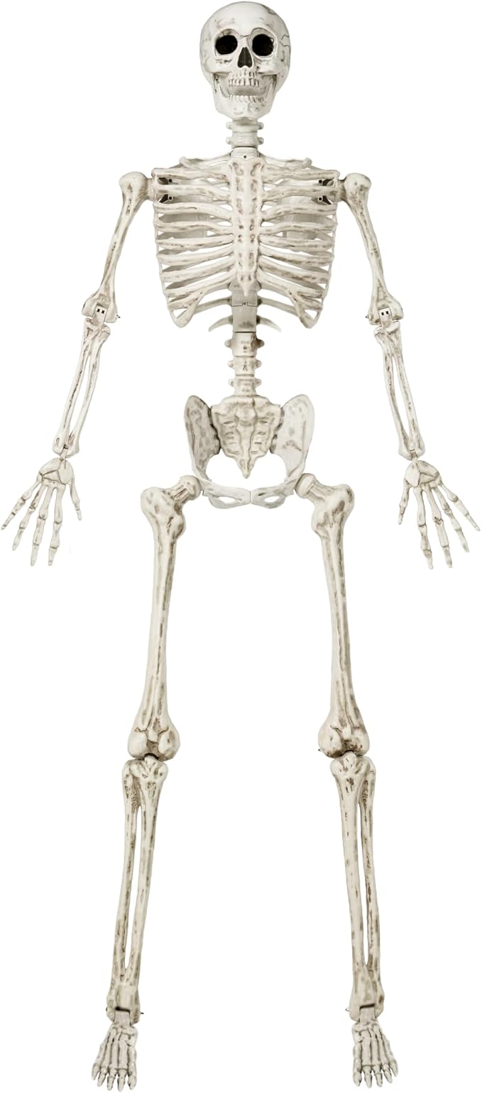 JOYIN 6.9 FT Halloween Skeleton Posable Plastic Full Body Realistic Human Bones with Movable Joints for Indoor Outdoor Halloween Props Spooky Scene Party Decorations(White, No Screwdriver)