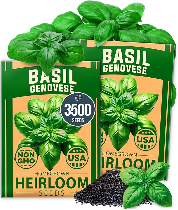 HOME GROWN Genovese Basil Seeds 2 Pack - 3500 π‘π’π‘-ππ π’ π¨π¦π Heirloom Basil Seeds for Planting (Ocimum basilicum) - Herb Seeds for Indoor & Outdoor Gardening - Grow for Culinary Use