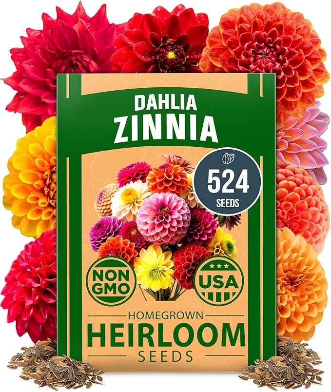 HOME GROWN π¨π¦π π£π₯ππ ππ¨π Zinnia Dahlia Seeds Pack for 2025 β 524 π‘π’π‘-ππ π’ Flower Seeds | Vibrant Zinnia Elegans for Pollinator Gardens, Borders & Containers | Easy-to-Grow Outdoor Blooms