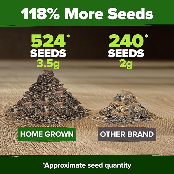 HOME GROWN π¨π¦π π£π₯ππ ππ¨π Zinnia Dahlia Seeds Pack for 2025 β 524 π‘π’π‘-ππ π’ Flower Seeds | Vibrant Zinnia Elegans for Pollinator Gardens, Borders & Containers | Easy-to-Grow Outdoor Blooms