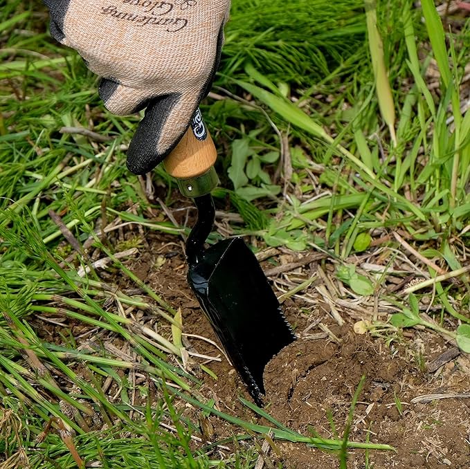 Garden Helper Narrow Garden Trowel Hand Tool, Garden Shovel Serrated Edge for Planting and Transplanting, Heavy Duty Japanese Steel Blade, Wood Handle, Made in Japan