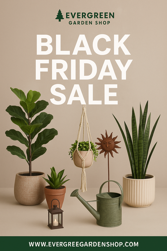 🌿 Designing With Evergreens: Creating Year-Round Interest in Your Garden