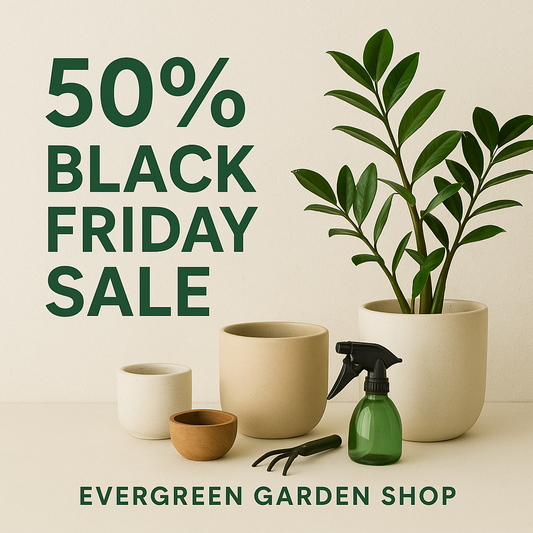 Bringing Nature Home: How Evergreen Garden Shop Helps You Create a Peaceful, Plant-Filled Space