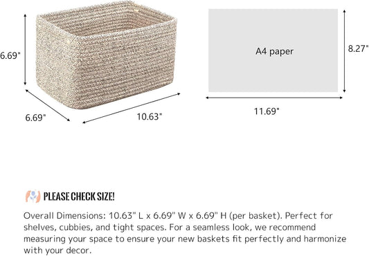 5 Easy Plants for Beginners to Grow and Love