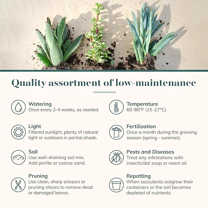 5 Simple Ways to Bring Nature Indoors and Transform Your Space