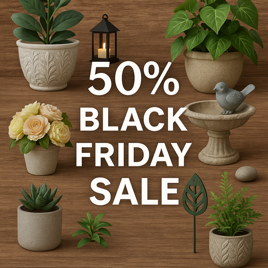 🌿 Evergreen Garden: Refreshing Your Space With Nature’s Most Timeless Touch