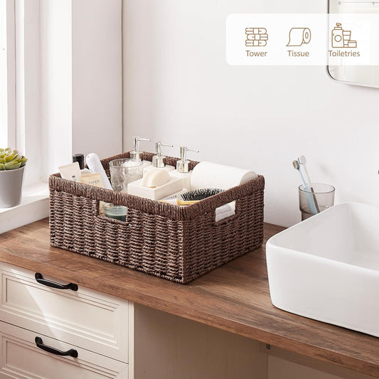 Transform Your Space: The Beauty and Benefits of Indoor Plants