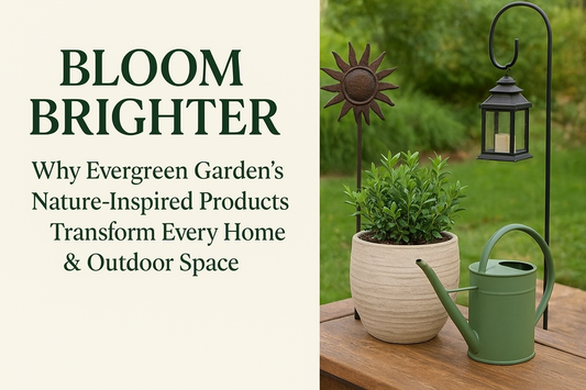 Bloom Brighter: Why Evergreen Garden’s Nature-Inspired Products Transform Every Home & Outdoor Space