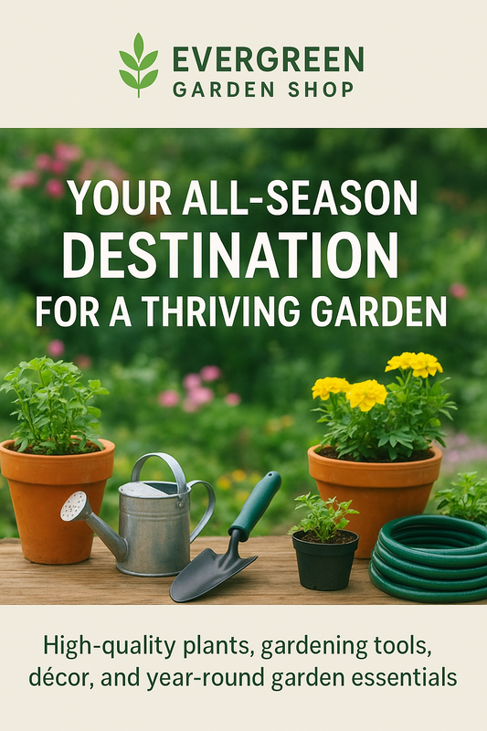 Why Evergreen Garden Shop Is Your All-Season Destination for a Thriving Garden