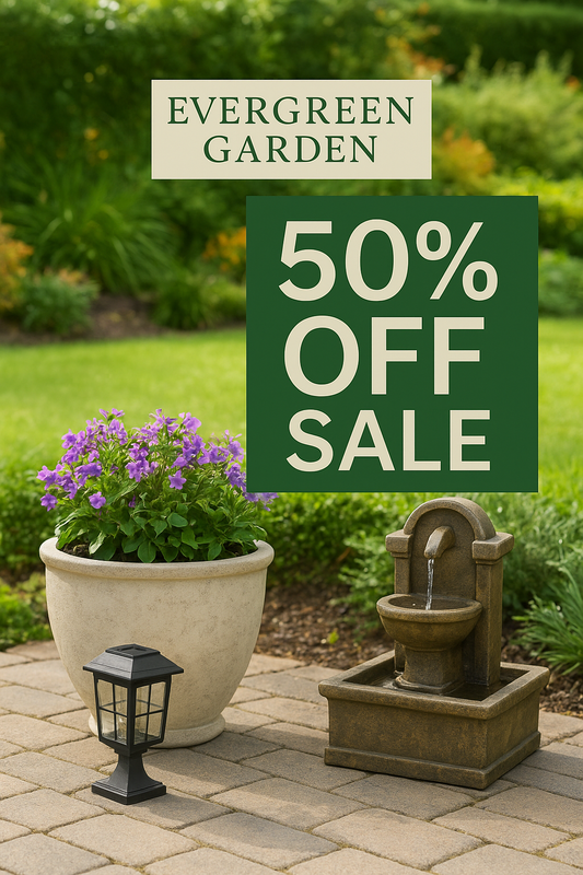 Transform Your Outdoor Space with Evergreen Garden