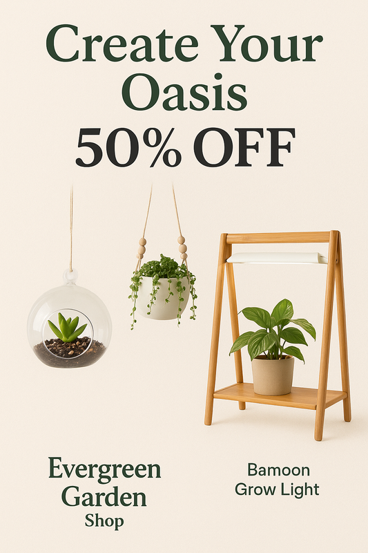 Create Your Own Indoor Oasis with Evergreen Garden