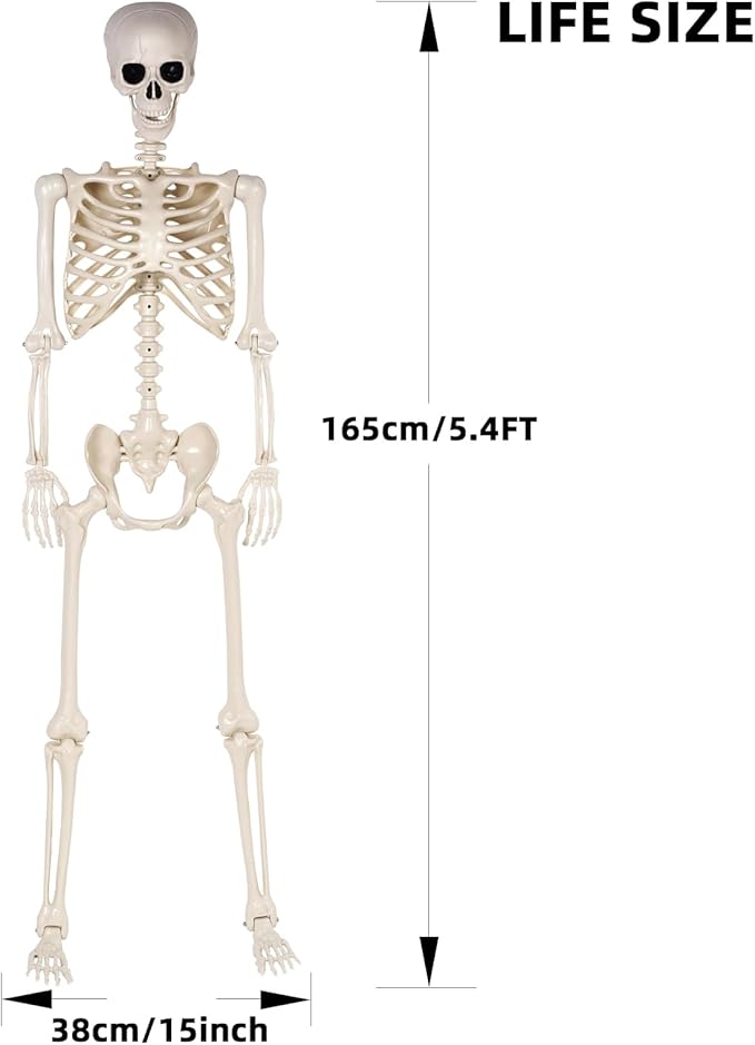 Halloween Skeletons Decorations - 5.4FT Life Size Posable Skeletons, Realistic Plastic Full Body Skeletons for Halloween Party Outdoor Haunted House Graveyard Decor