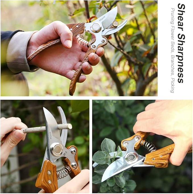 Garden Pruners, Heavy Duty Garden Clippers,Pruning Shears with Adjustable Thumb Lock,Hand Gardening Tools Pruners,Stainless Steel Sharp Gardening Scissors (Classic)