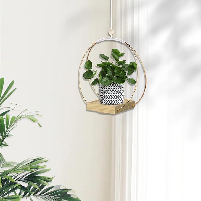 Hanging Planters for Indoor Plants, Plant Hanger with Sturdy Wood Base,Modern Boho Macrame Plant Hanger,Wall Ceiling Window Stands(Plants/Pots Not Included)