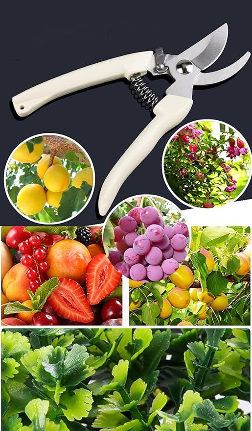2PCS Garden Flower Shears Pruning Shears 6.9 inches Scissors Heavy Duty Plant Scissors for Cutting Flowers, Trimming Plants, Bonsai, Fruits Picking (White Handle 2pcs)
