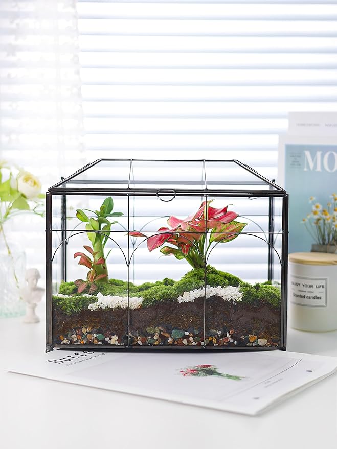 Handmade Glass Planter Terrarium with Lid, Indoor Tabletop Centerpiece Display Box Modern Decor DIY Gift Plant Terrarium Container for Succulent Cacti Air Plants Flower (Black)