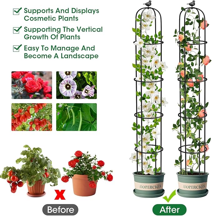 Garden Obelisk Trellis for Climbing Plants Outdoor 6.2 Ft Rose Bush Round Trellis for Pots Rustproof Metal Plant Flower Trellises for Clematis Vine Jasmine Support Outdoor Indoor (Black, 6.2ft)