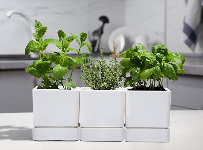 4 Inch Herb Planter Pot, Plastic Planter with Drainage Holes and Saucer, Modern Decorative Gardening Pot for Indoor Plants, Flowers, Herbs, Succulents, White, Set of 6, 76-Y-A-6