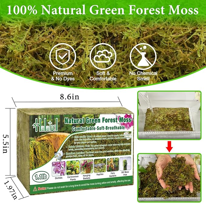 Halatool 1.1LB Green Forest Moss- 25QT Natural Sphagnum Moss for Plants Fluffy Orchid Moss for Orchids Repotting Dried Plant Moss for Potted Plants Indoor & Outdoor