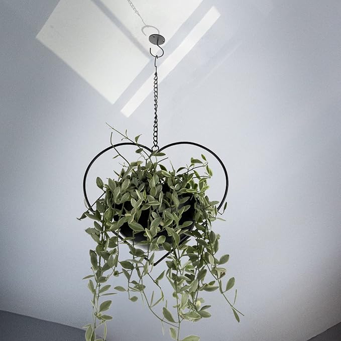 Hajia 1 Pack Heart Shaped Boho Hanging Plant Holder with 6inch Detachable Pot, Black Metal Wall Ceiling Plant Hanger for Indoor Outdoor, Minimalist Small Hanging Planter for Home Wedding Decor