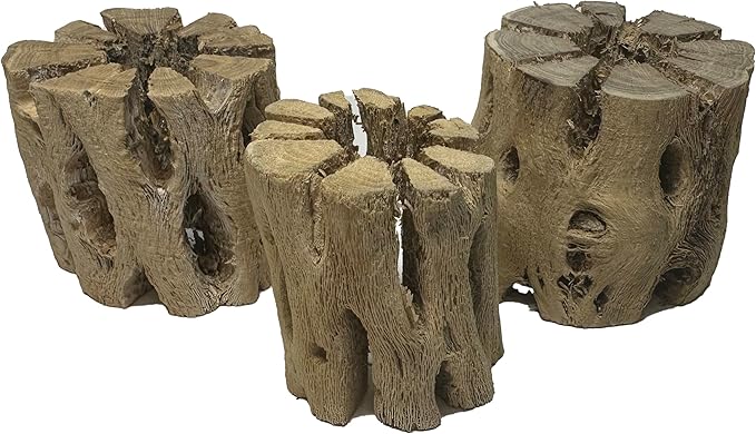 3 Natural Cholla Wood Air Plant Display Holders 2 inch Individually Unique Round Decorative Stands