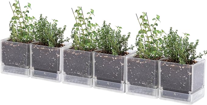 4 Inch Herb Planter Pot, Plastic Planter with Drainage Holes and Saucer, Modern Decorative Gardening Pot for Indoor Plants, Flowers, Herbs, Succulents, Clear, Set of 6, 76-Y-D-6