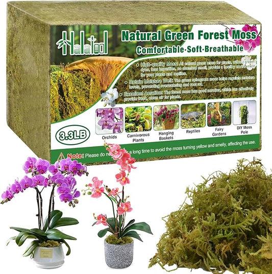 Halatool 3.3LB Green Forest Moss Natural Sphagnum Moss for Plants Fluffy Orchid Moss for Orchids Repotting Dried Plant Moss for Potted Plants Indoor & Outdoor