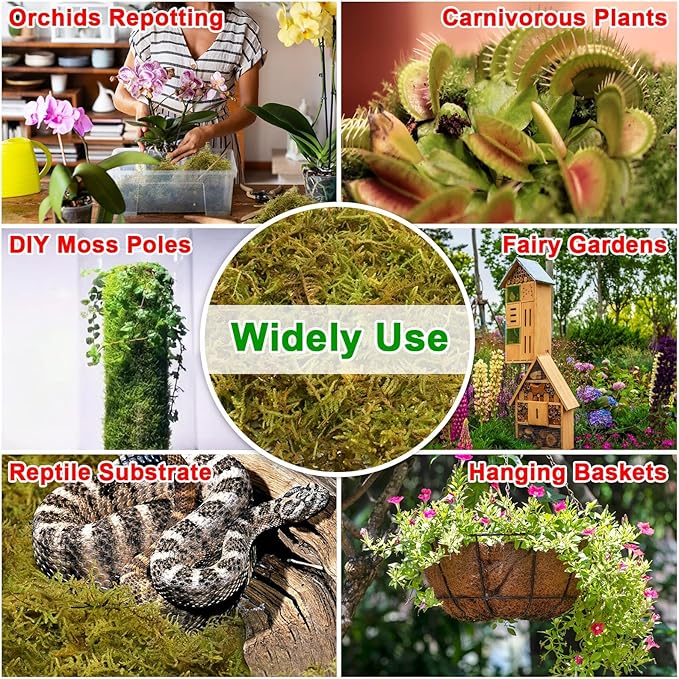 Halatool 4.4LB Green Forest Moss Natural Sphagnum Moss for Plants Fluffy Orchid Moss for Orchids Repotting Dried Plant Moss for Potted Plants Indoor & Outdoor